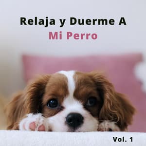 Relaja y Duerme A Mi Perro Vol. 1 - Calma Música para Perros