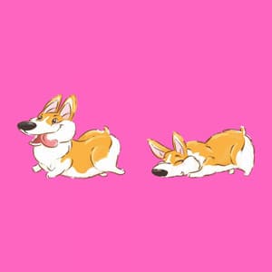 Echoes of No Stress Doggy - Separation Anxiety Dog Music