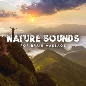 Nature Sounds for Brain Massage: Calm Down and Relax, Stress Relief, Brain Recharging - Brain Stimulation Music Collective