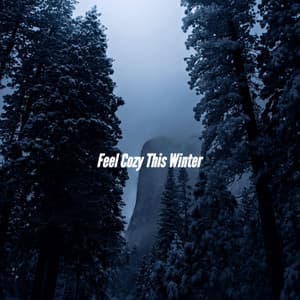 Feel Cozy This Winter - Calm Guitar Music