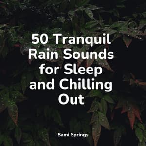 50 Sounds of Rain and Ambient Rain Sounds - Smart Baby Lullaby