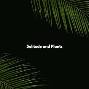 Solitude and Plants - Music for Productivity