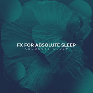 FX for Absolute Sleep - Absolute Sleep