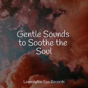 Gentle Sounds to Soothe the Soul - Nature Chillout