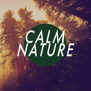 Calm Nature - Sounds Of Nature