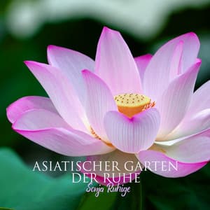 Asiatischer Garten der Ruhe - Sonja Ruhige