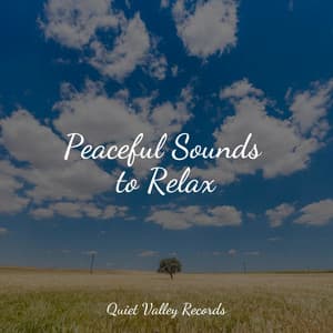 Peaceful Sounds to Relax - Tibetan Singing Bowls for Relaxation