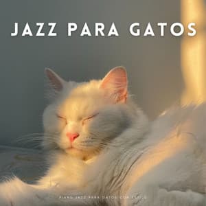 Piano Jazz Para Gatos Con Estilo - Jazz Clásico