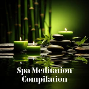 Spa Meditation Compilation: Relaxing Instrumental Music for Spa, Deep Sleep, Mindfulness - Spa Music Consort
