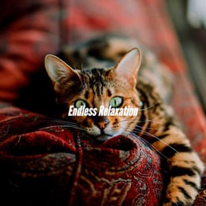 Endless Relaxation - Jazz Classique