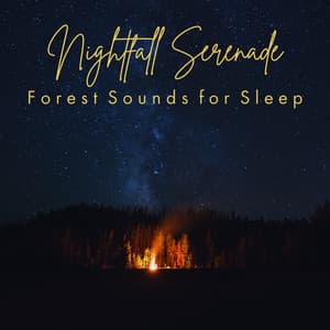 Nightfall Serenade: Forest Sounds for Sleep - Nature Soundscape