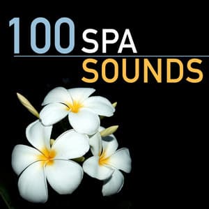 100 Spa Sounds - Soothing Sound Collective for Inner Peace and Wellness Mindfulness Meditation - Nature Sounds Spa Therapy
