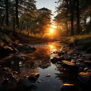 Momentos Serenos Para Mascotas Con Grillos: Sonido Relajante Y Tranquilidad De La Naturaleza - Experiencia de música cristiana