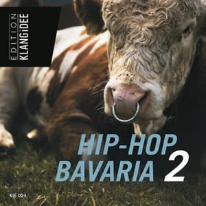 Hip-Hop Bavaria 2 - Tony Delmonte