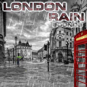 London Rain Sounds - London Rain Sounds