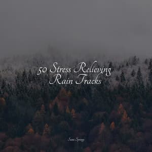 50 Stress Relieving Rain Tracks - Kundalini Yoga