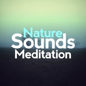 Nature Sounds Meditation - Nature Sounds Meditation