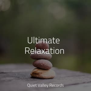 Ultimate Relaxation - Zarobi