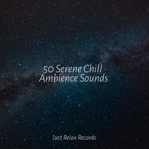 50 Serene Chill Ambience Sounds - Shakuhachi Sakano