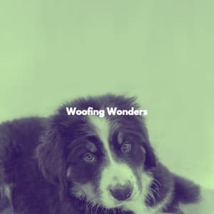 Woofing Wonders - Calm Dinner Music