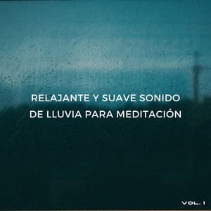 Relajante Y Suave Sonido De Lluvia Para Meditación Vol. 1 - Meditación de lluvia