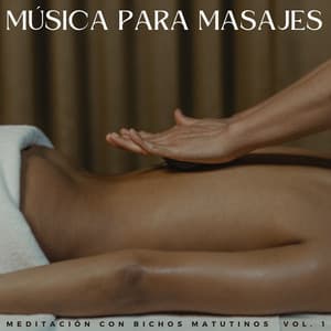 Música Para Masajes: Meditación Con Bichos Matutinos Vol. 1 - DNA de naturaleza