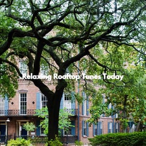 Relaxing Rooftop Tunes Today - Office Music Experts