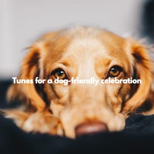Tunes for a dog-friendly celebration - Brunch Musik