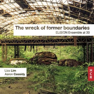 The Wreck of Former Boundaries - Liza Lim