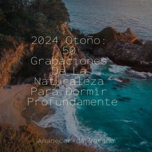 2024 Otoño: 50 Grabaciones De La Naturaleza Para Dormir Profundamente - Dulces Sueños