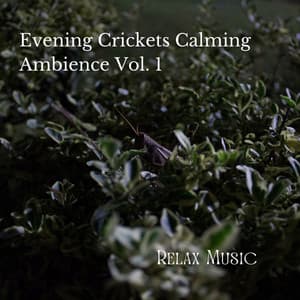 Relax Music: Evening Crickets Calming Ambience Vol. 1 - Sleepy Times
