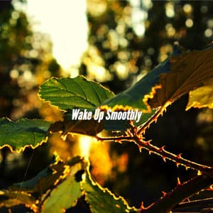 Wake Up Smoothly - Coffee Shop Music Deluxe