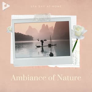 Ambiance of Nature - Spa Day At Home