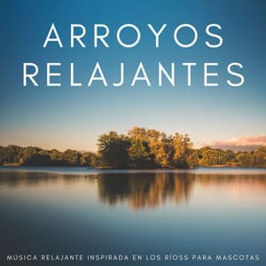 Arroyos Relajantes: Música Relajante Inspirada En Los Ríos - Sonidos relajantes del agua