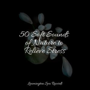 50 Soft Sounds of Nature to Relieve Stress - Baby Sweet Dream