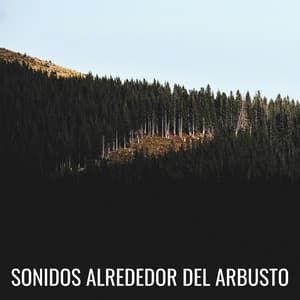 Sonidos Alrededor Del Arbusto - Sonidos y susurros de la naturaleza