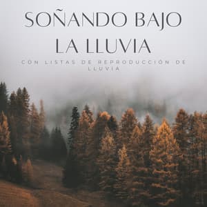 Soñando Bajo La Lluvia Con Listas De Reproducción De Lluvia - Registradores de lluvia