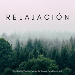 Relajación: Sonidos De Vientos Fuertes De Bosque Para Dormir Vol. 1 - Las Vientas