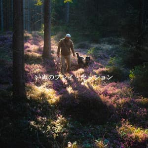 いぬのプレイ・セッション - Smooth Jazz Radio