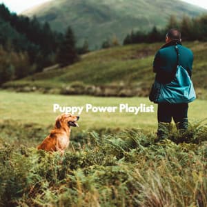 Puppy Power Playlist - Harlem Jazz Guitar Quartet
