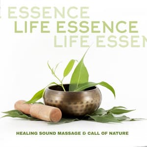 Life Essence. Healing Sound Massage & Call of Nature - Exotic Power Maker
