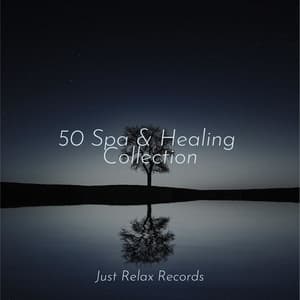 50 Spa & Healing Collection - ASMR HD