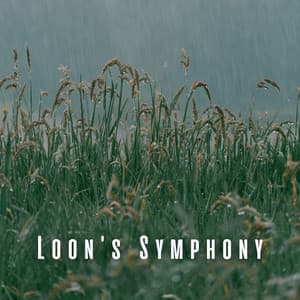 Loon's Symphony: Light Rain and Relaxation Tracks - Nature Therapy