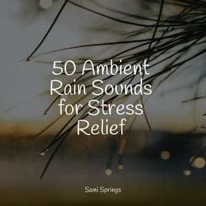 50 Ambient Rain Sounds for Stress Relief - Study Power