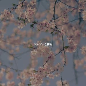 ジャジーな植物 - Acoustic Jazz