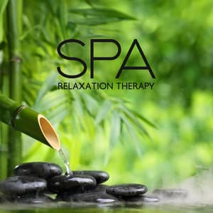 Spa Relaxation Therapy: Remove All The Physical & Mental Pain - Alicia Bliss