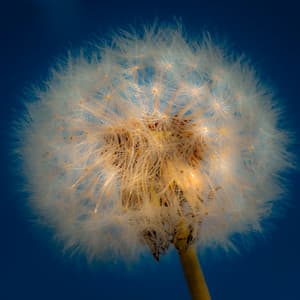 1st Melodic Noise Machine: Soft Static - White Noise Therapy