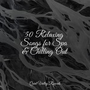 50 Relaxing Songs for Spa & Chilling Out - Namaste Healing Yoga