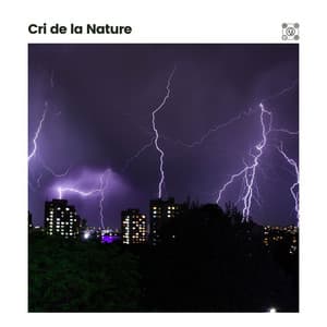 Cri de LA Nature - Orage HD