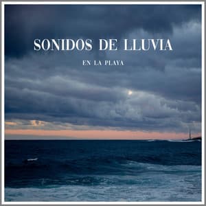 Sonidos de Lluvia en la Playa - MusicoterapiaTeam